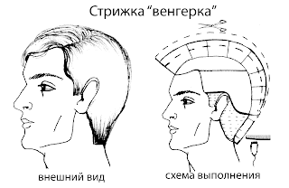 Стрижка венгерка