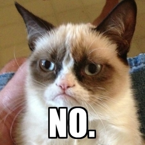 44222-Grumpy-Cat-GOOD-and-NO-memes-runp