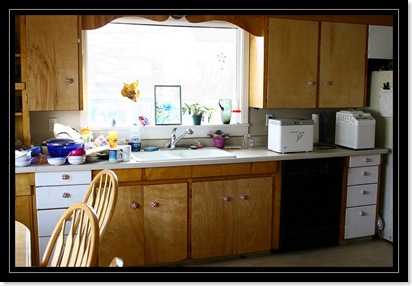 kitchen before
