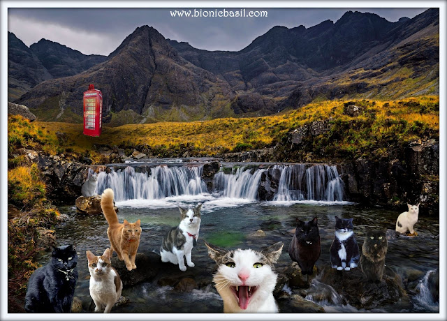 The B Team's Fairy Pools Waterfall Selfie ©BionicBasil® The Sunday Selfies Blog Hop