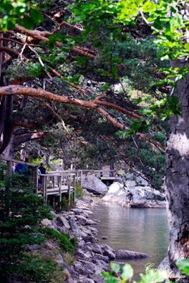 Otra vista de la pasarela peatonal de madera, que rodea la Laguna, facilita el acceso y no desentona con el ambiente  para nada.