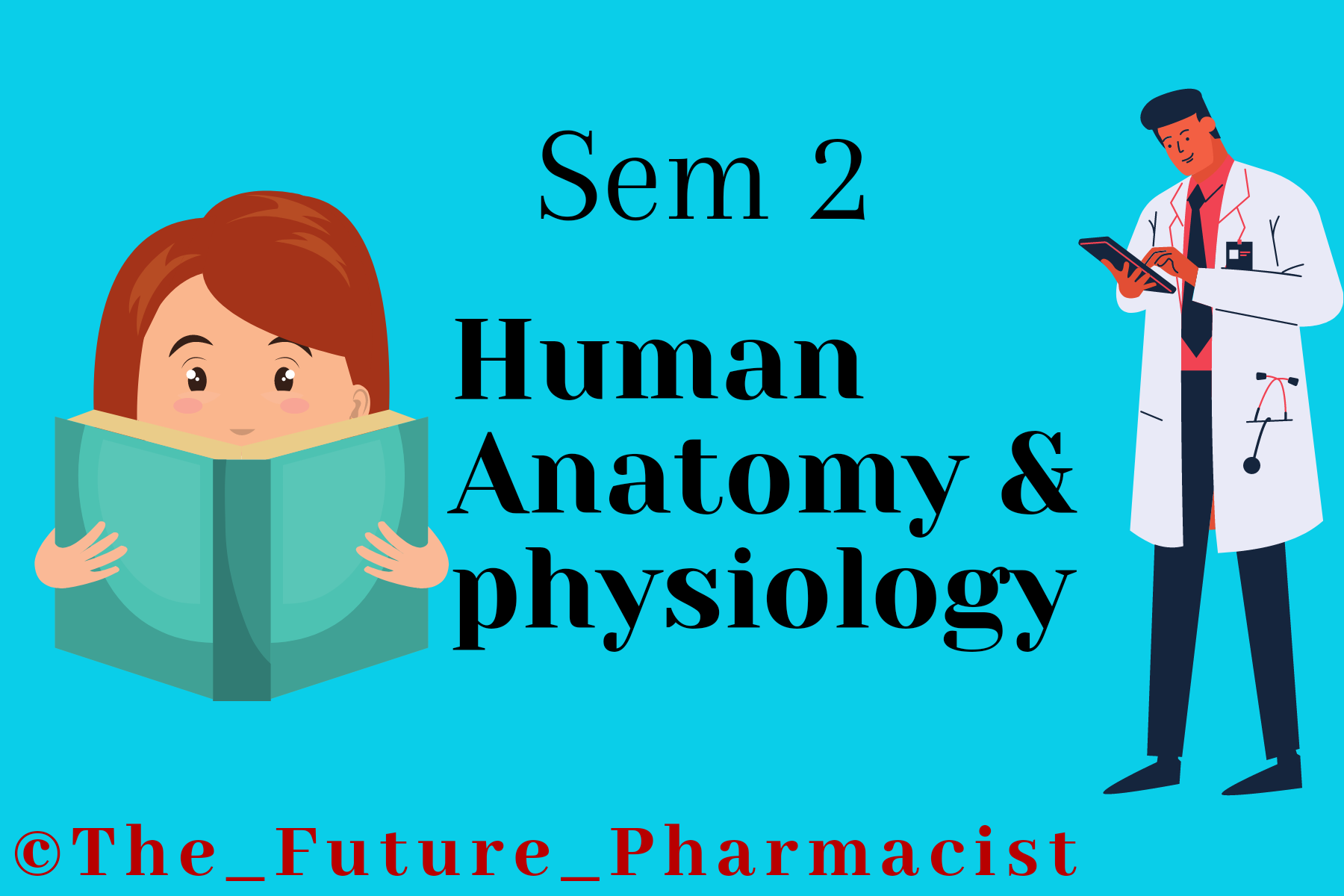 Human Anatomy and Physiology-II | Download best B pharmacy Sem 2 notes free | download pharmacy notes pdf semester wise