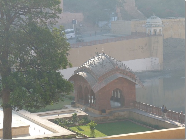 2008.12_india_0827