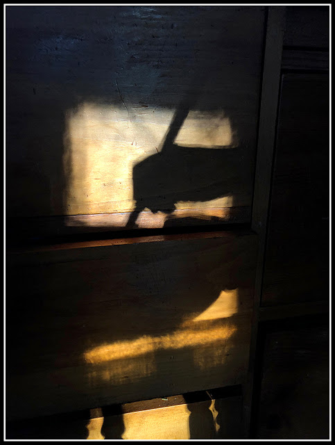 iPhoto; iPhonography; Nova Scotia; Shadow; Hand