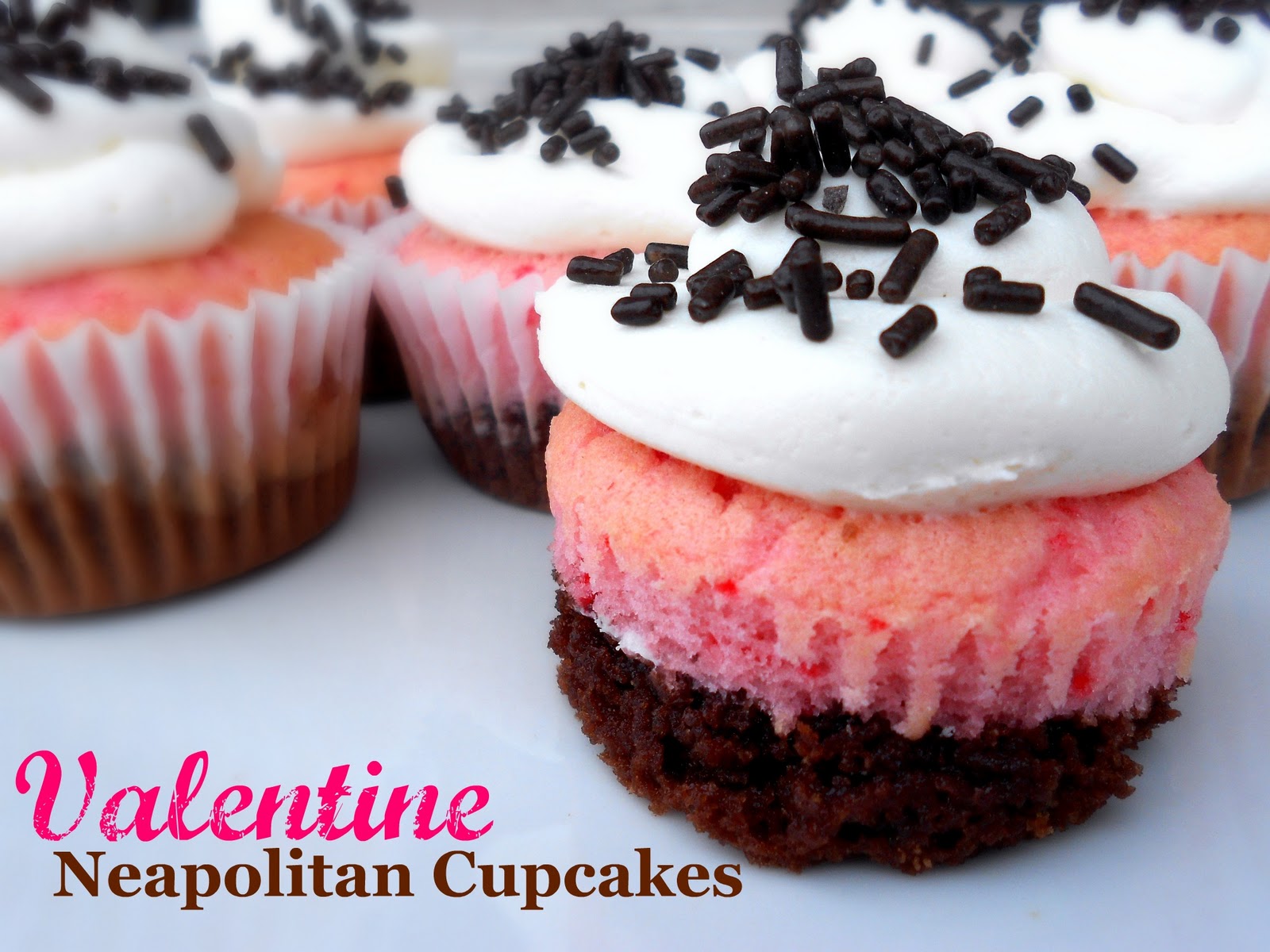 Neapolitan Cupcake