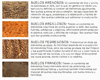 Planificación - Geología - Tipos de suelo