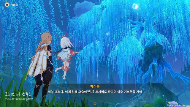 야생정령0