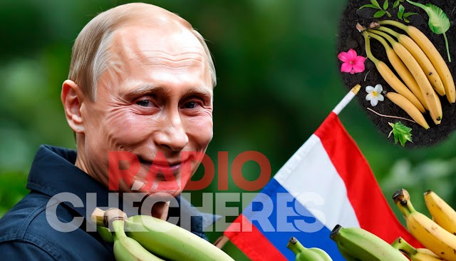 Ahora Noboa quiere dialogar. Crisis comercial Ecuador - Rusia: suspensión de importaciones de banano y flores
