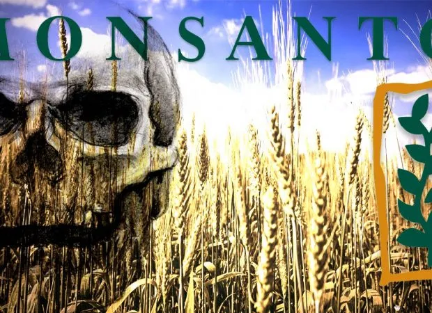 Ο εφιάλτης της Monsanto σκεπάζει την Ευρώπη