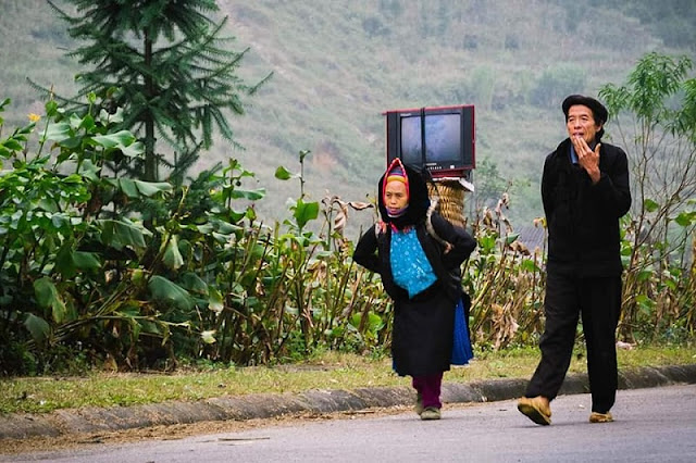 Contemplate the idyllic life in Ha Giang during the ripe rice season