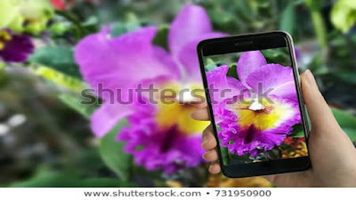 Affiliate program mobile work tools, smartphone pic of flowers.