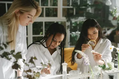 Collaboration in Lab Partnership
