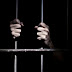 Iceland: "Bitcoin mining machine theft" was arrested after behind the scenes