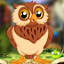 Palani Games - Audacious Owl Escape