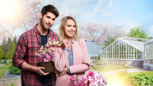 A Brush with Love 2019 altadefinizione