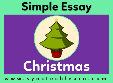 short essay on christmas