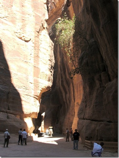 Petra Jordan | الاردن البتراء السيق