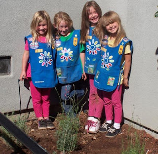 Four girl scouts in their newly-planted lavender garden at GDB.