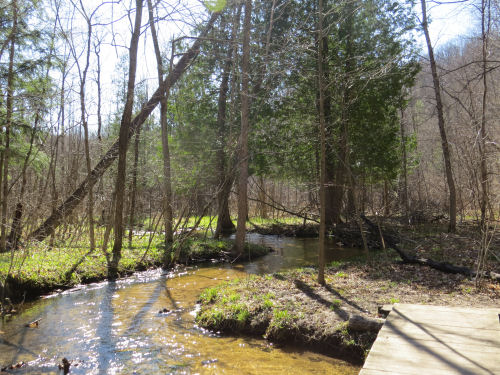 unnamed stream in the sun