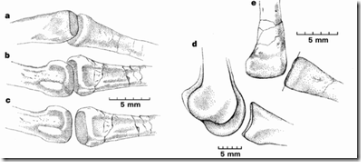 391886ac.tif.0
