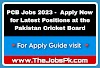 PCB Jobs 2023 -  Apply Now for Latest Positions at the Pakistan Cricket Board