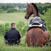 Como hacernos amigos de nuestros caballos 