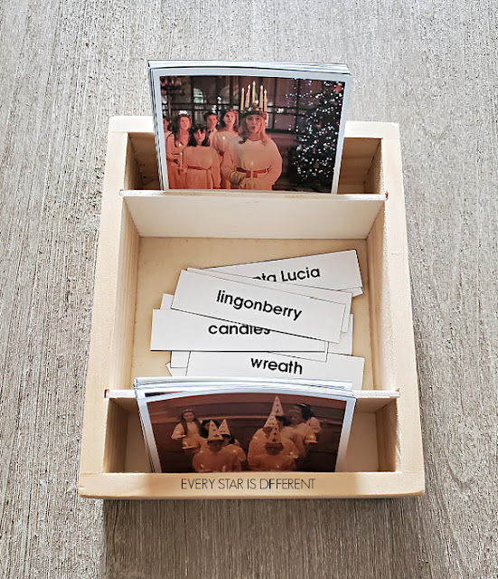 Santa Lucia Day Nomenclature Cards