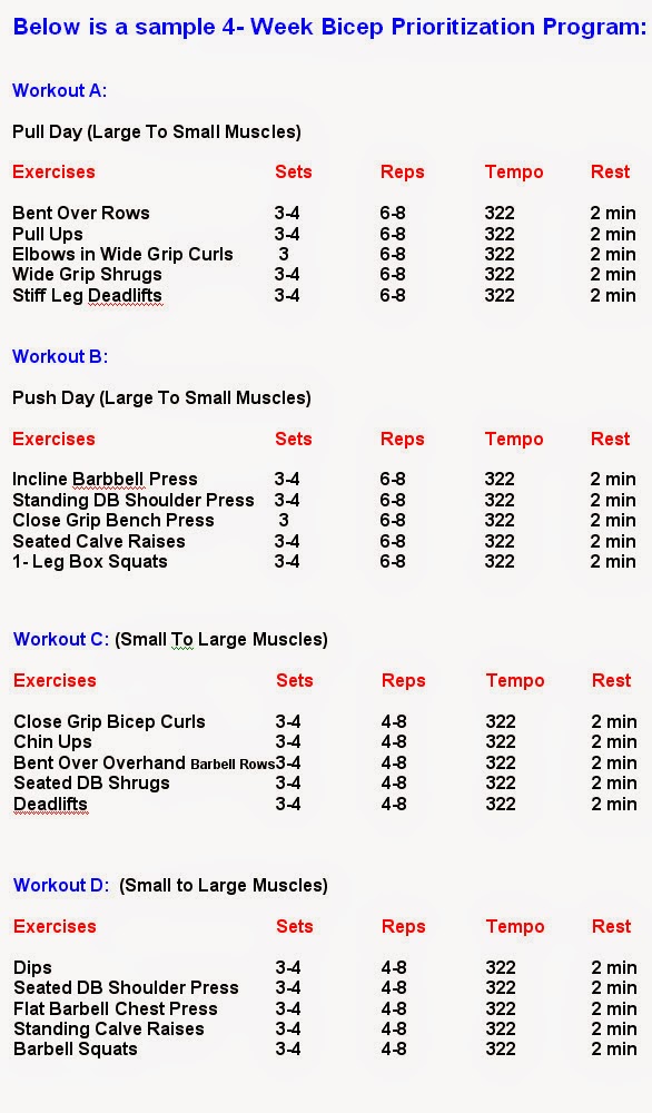 Best Bicep Workouts For Size ~ multiple fitness