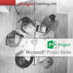 Microsoft Project 2013/2016 (Beginner) Training Course