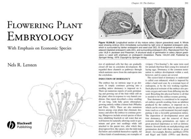 Flowering Plant Embryoloy