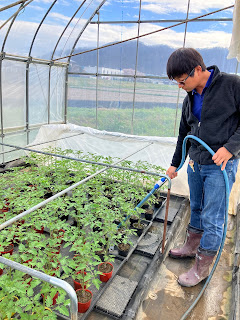 【20230406】育苗ハウスの水やり