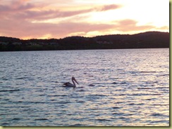 Walpole