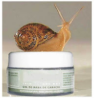 baba de caracol