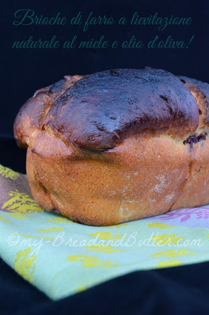 Brioche di farro a lievitazione naturale al miele e olio d'oliva