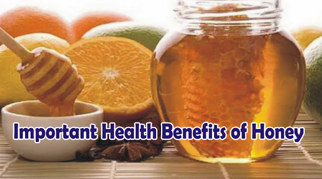  Important Benefits of Honey on Health for Men & Women
