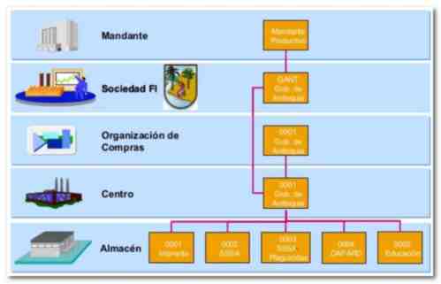 Elementos Organizativos en SAP - Consultoria-SAP