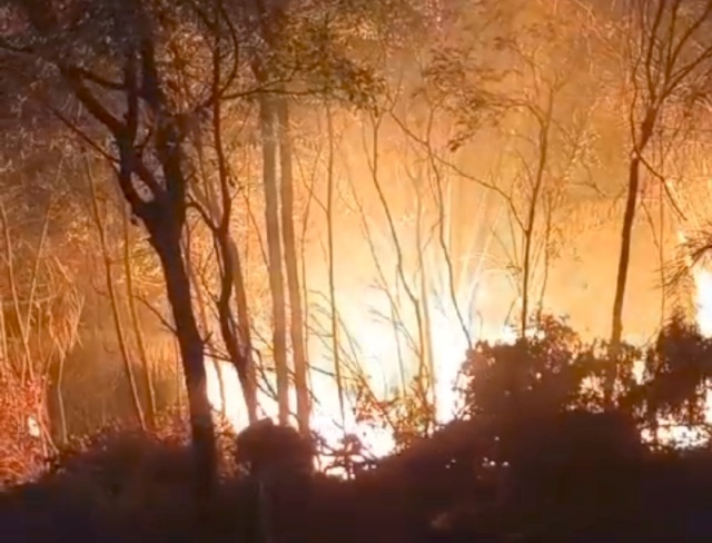 Homem é flagrado iniciando incêndio nas serras da Cachoeira do Aníbal, em Jacobina