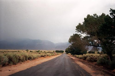 Construction of Collins Road