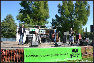 BogZH Celtic Cats ! Concert Campbon Loire Atlantique - Virades de l'Espoir