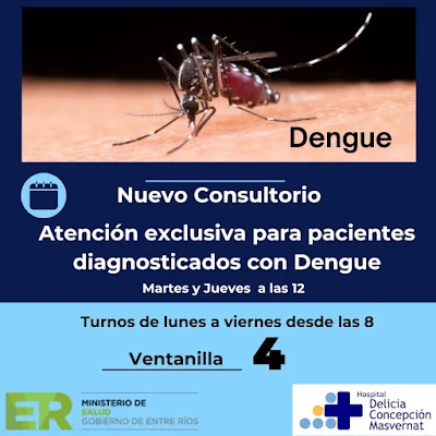 Consultorio Dengue Masvernat