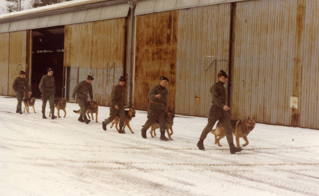 Maitres chiens 1978