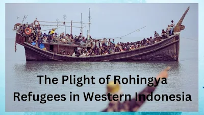 Desperate Journey and Human Trafficking Concerns