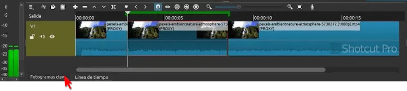 vamos a la pestana fotograma clave