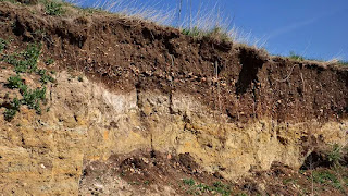 Granular structure