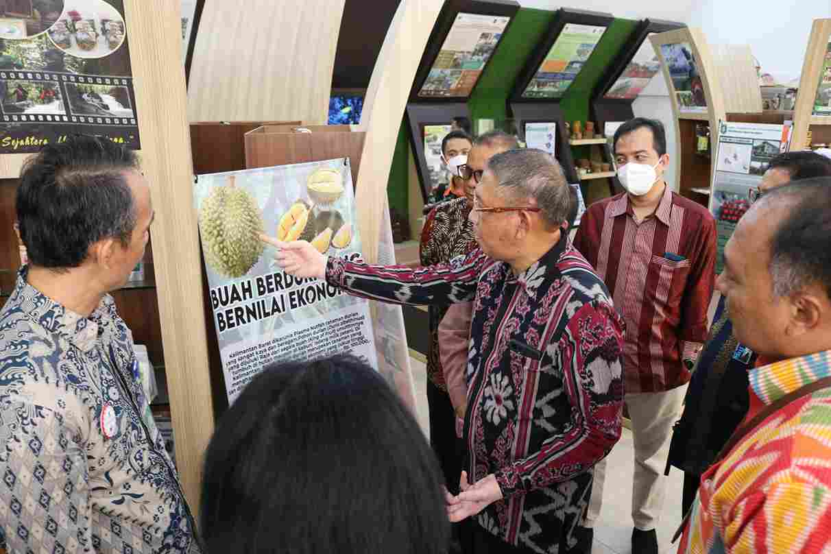 Info Tinjau  Galeri Hutan Bersama Staf Ahli Kementerian BUMN