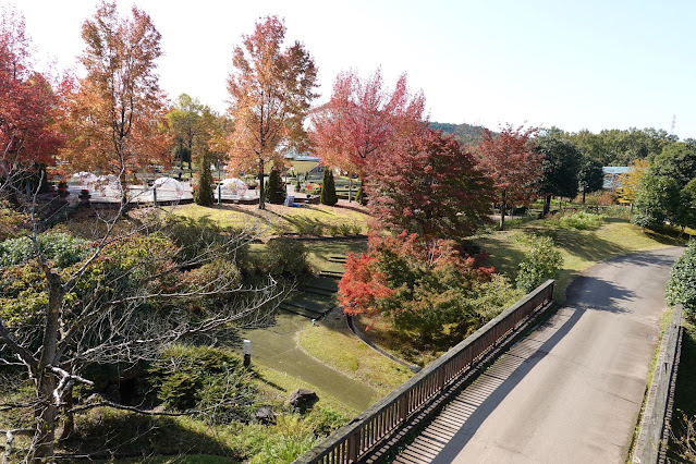 鳥取県西伯郡南部町鶴田　とっとり花回廊　紅葉の美