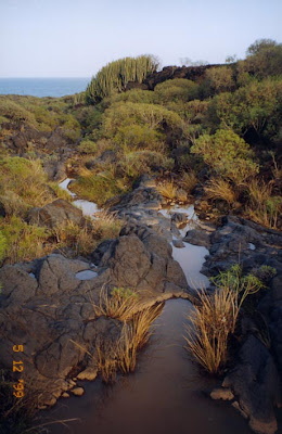 malpais guimar malpaís güímar tenerife