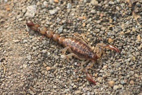 IMG_3180