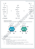 XII Chemistry Notes - Chemistry Of Life