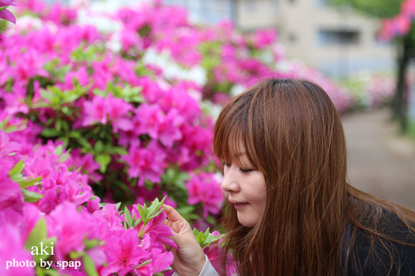 水賀池（みずがいけ）のツツジ ＜堺市 中区＞